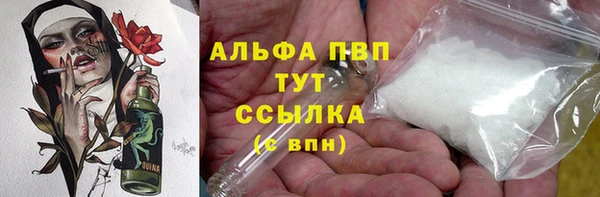 индика Абаза