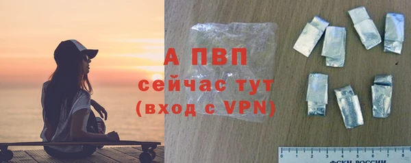 прущие крисы Медвежьегорск