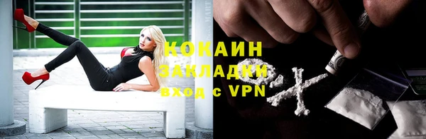 индика Абаза