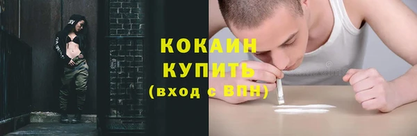 прущие крисы Медвежьегорск