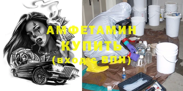 индика Абаза