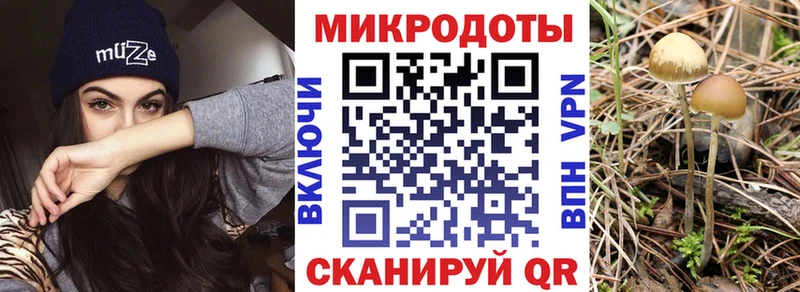 Галлюциногенные грибы Magic Shrooms  Эртиль 